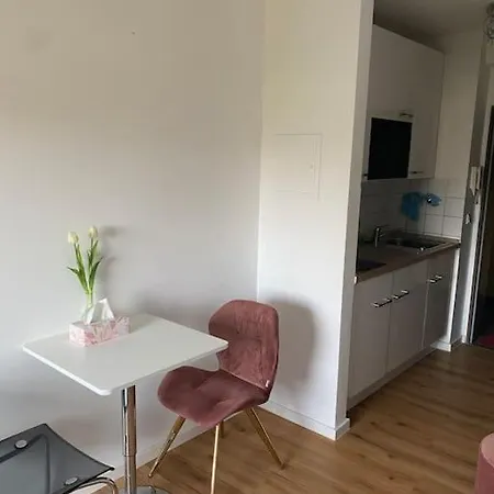 Schoene, Kleine, Gemuetliche Wohnung - Stadtmitte Mainz Exterior photo